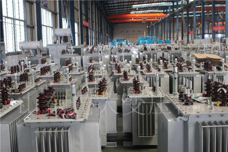 三亚S22-800KVA/10KV